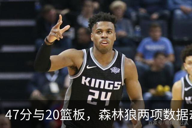 47分与20篮板，森林狼两项数据却换不来一场胜利